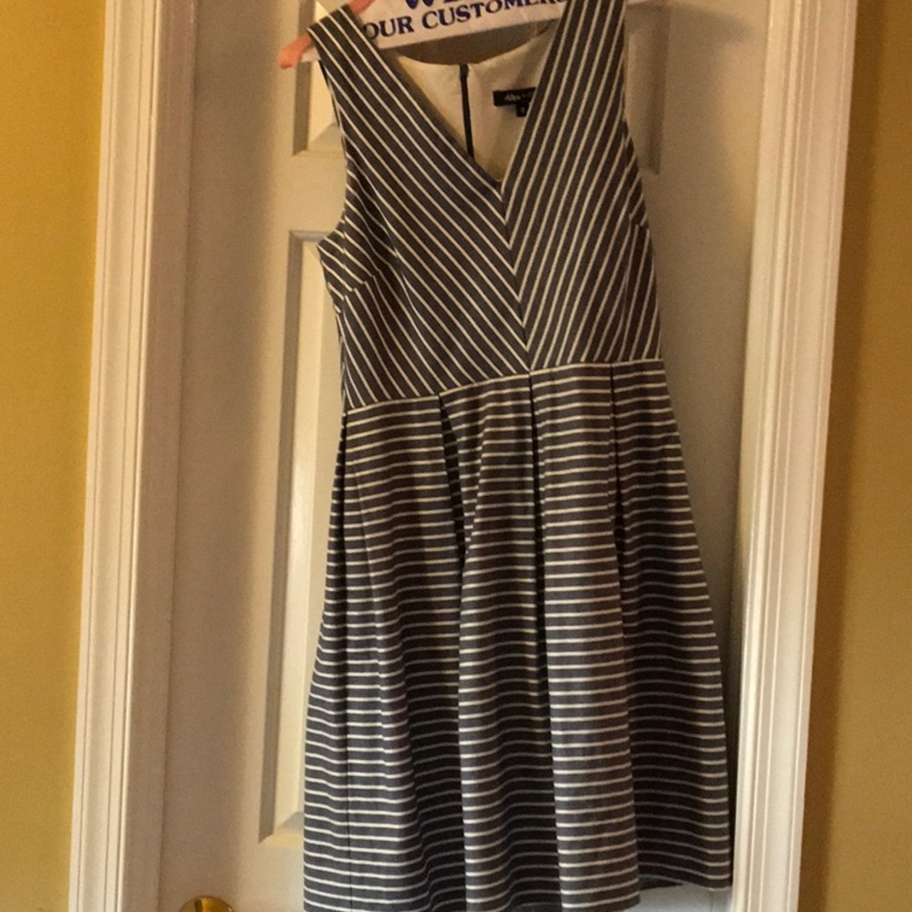 Alex & Alex denim stripe dress